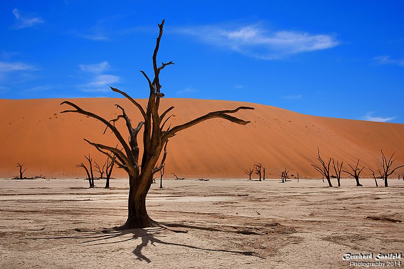 Bernhard Saalfeld - Death Valley II